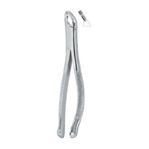 Bicuspids And Incisors Roots 150AS