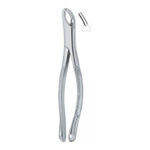 Cryer Bicuspids , Incisors And Roots 150