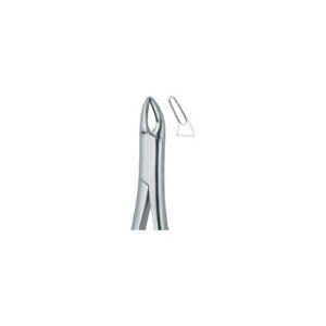 Cryer Bicuspids , Incisors And Roots 150S