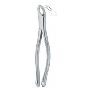 Cryer Bicuspids , Incisors And Roots 151