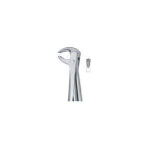 Lower Molars 73