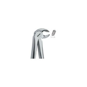 Lower Molars , Right 23
