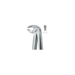 Lower Molars , Universal 22