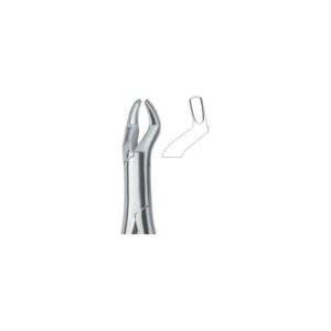 Molars And Third Molars 10S