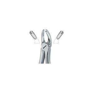 Molars, 18A