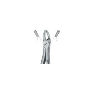 Molars, Left 39L