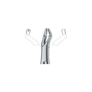 Molars, Right 53R