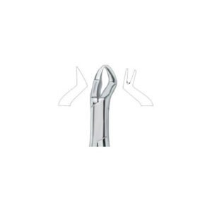 Nevius Molars , Right  88R