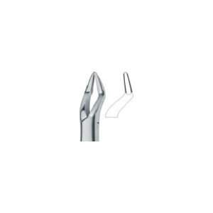 Parmly Molars And Bicuspaids Roots 32A