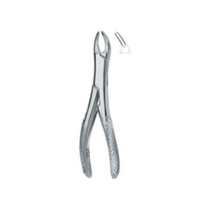 Teeth And Roots, Universal 150SK