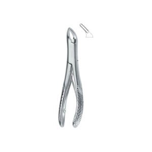 Teeth And Roots, Universal 151SK