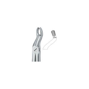 Third Molars 67A