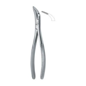 Witzel Root Fragments And Universal 502