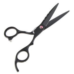 Plastic Handle Scissor