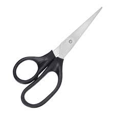 Plastic Handle Scissor